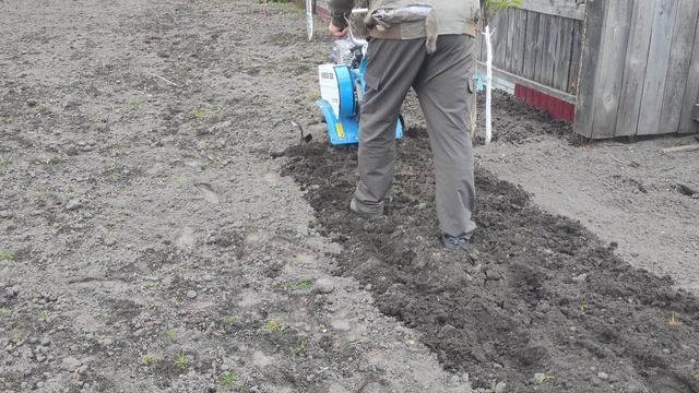 Работа на мотоблоке Нева МБ2.
