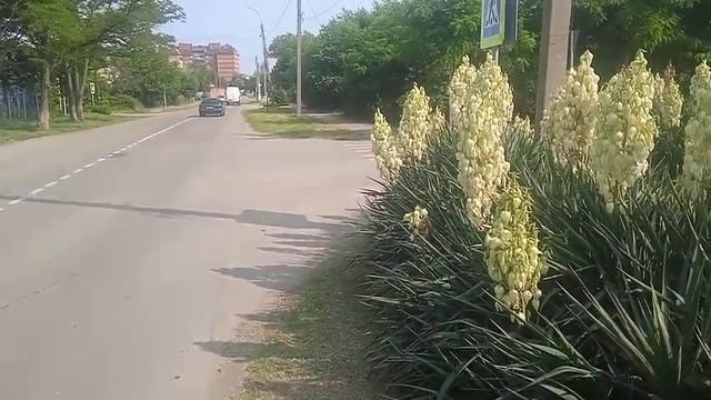 Опасный перекресток