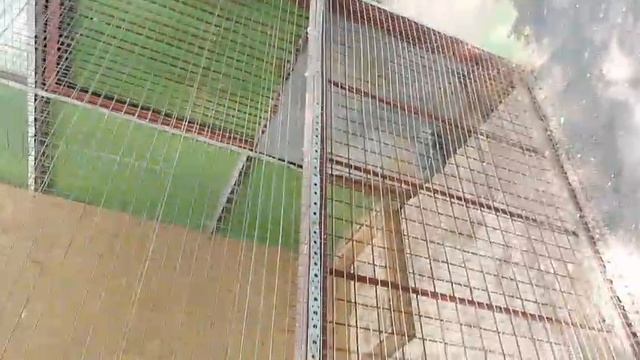 1000066791.mp4