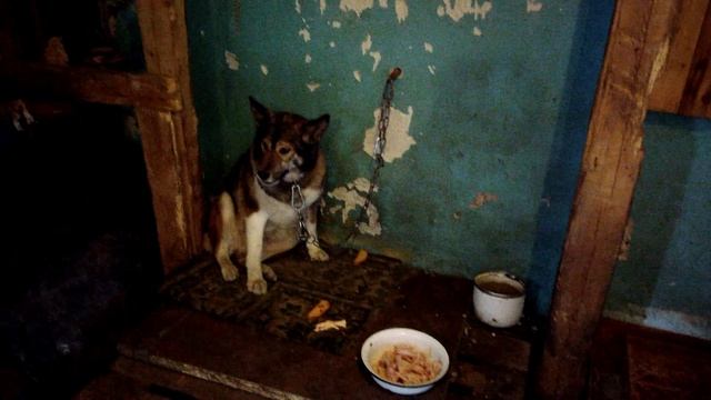09.07.2017 Г  наши ребята