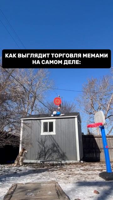 cryptonovus_CN
