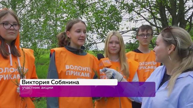 🌳ПАМЯТИ ГЕРОЕВ