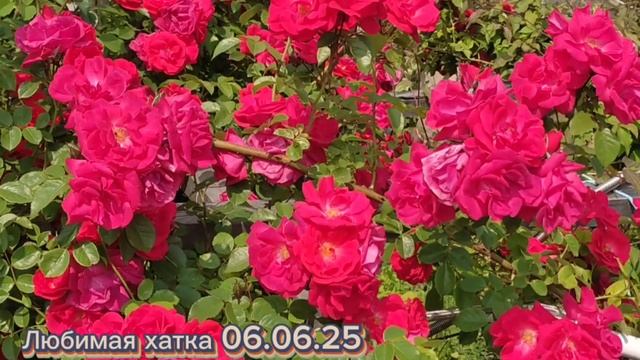 Моя любая хатка 06.06.25