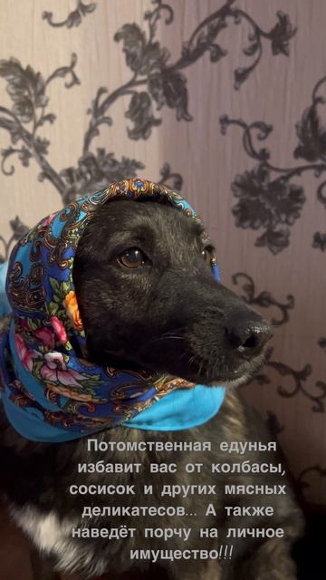 Буся❤️Обращайтесь 😉