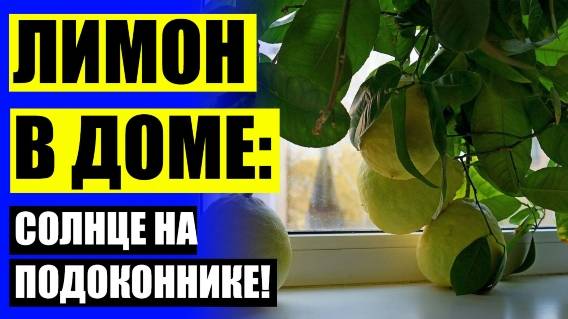 ⚫ ПИТОМНИК ПАВЛОВСКИЙ 👌 ЛИМОН СЕМЕНА ⛔