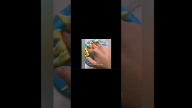 petal_20250601_094310.mp4