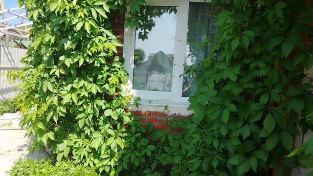 Перестановка на веранде