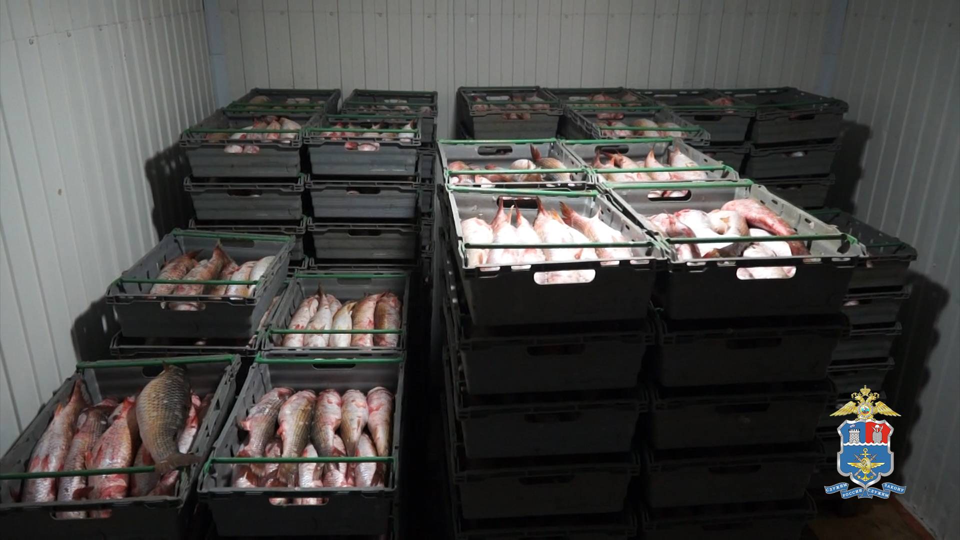 Свыше 9 тонн нелегальной рыбной продукции изъято транспортной полицией в Ростовской области