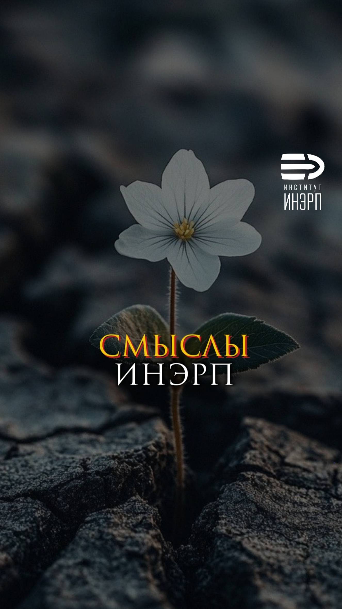 Смыслы ИнЭРП