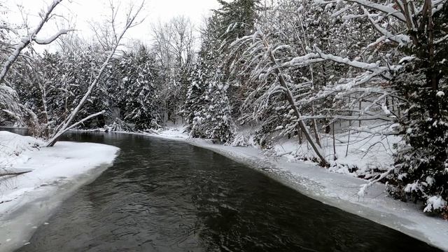 Спокойная вода в зимней реке. Деревья после снегопада укрытые снегом.