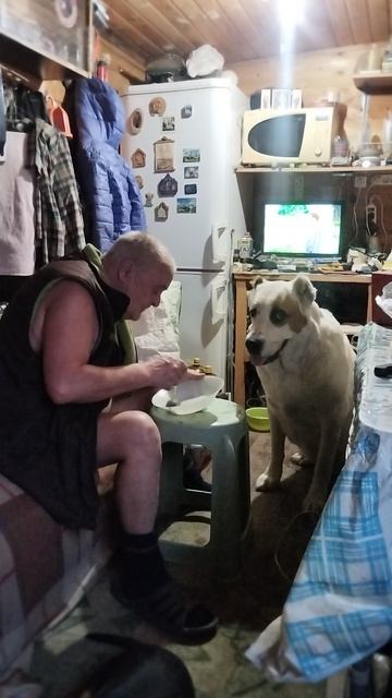 Моя ❤️ собака 🐕🦺