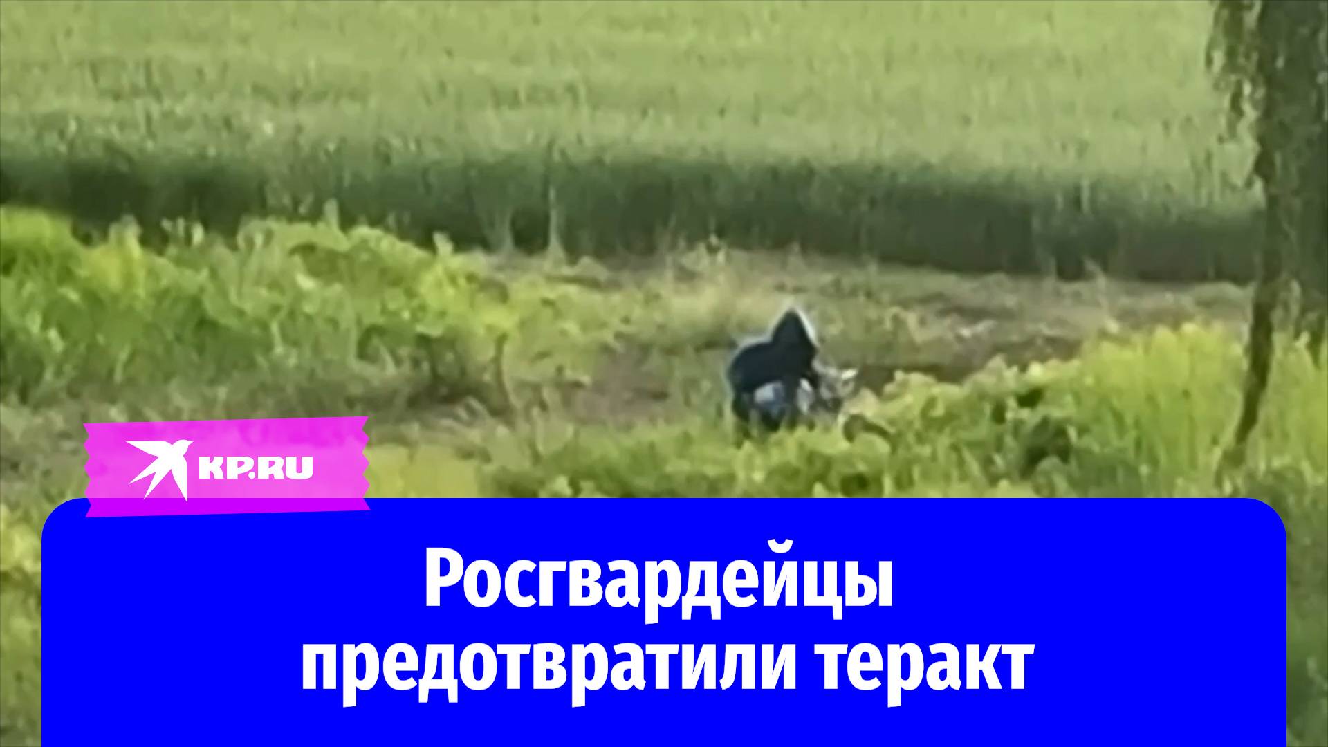 Росгвардейцы предотвратили теракт с БПЛА на военном объекте