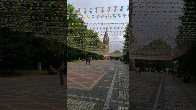 КАЛИНИНГРАД ОДНИМ ДНЁМ. ИЮНЬ 2025
