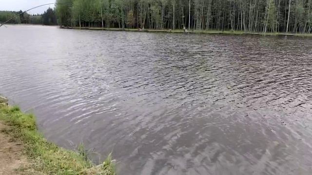 Поимка осетра