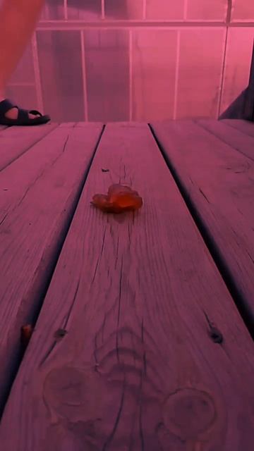 гуляем 😜 идея #моя и #машкагорнизлайка