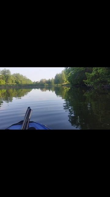 река Ранова, птеродактиль и секретная база