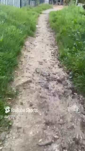 Когда спешишь на электричку 🚊🚉🚈 времени нет вообще ..mp4