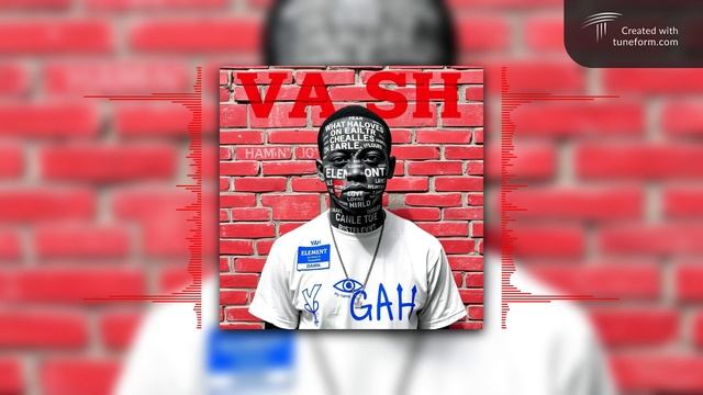V.A.S.H-Fallen
