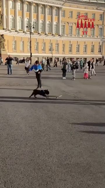 🐶 Знаменитый скейтер Бароша