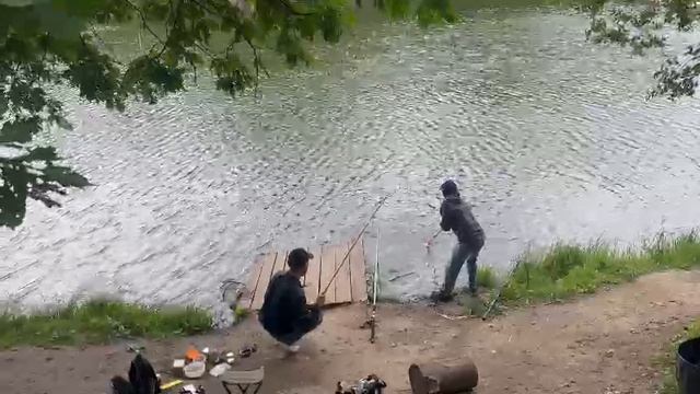 Карпик