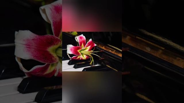 Произведение Баталовой Амелии . 🎹🎼Полёт фантазии . Видео Баталовой Елены .
