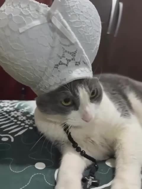 Подпишись 👉 https://vk.com/ykrasheniy_iz_kamny