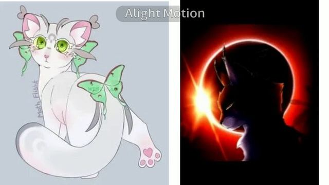авы для кв-шников! 🦋