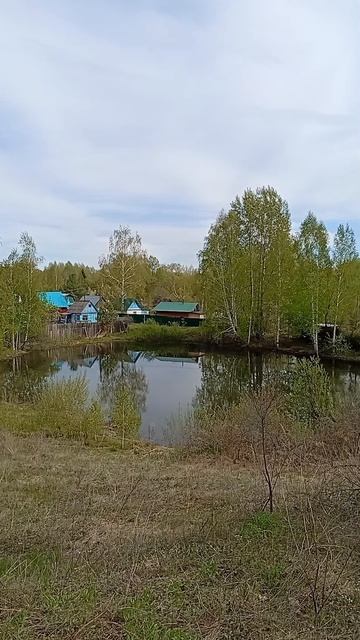 Бийск. Озеро в садоводстве "Заря" #природа #озера #россия #бийск