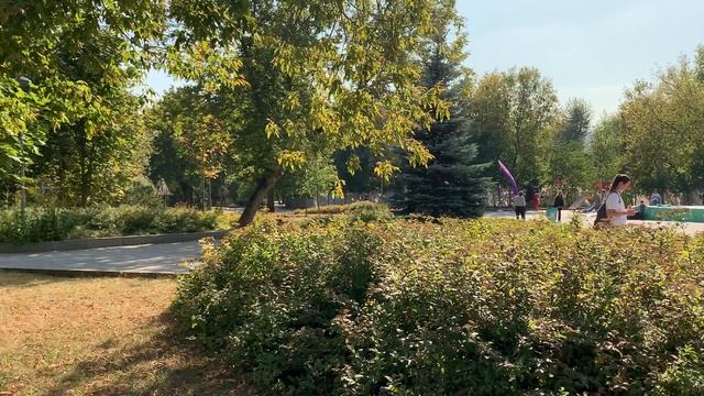 Стрелекая_июнь_4