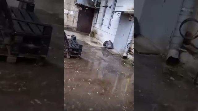 Haval Dargo 🦫 полет нормальный
