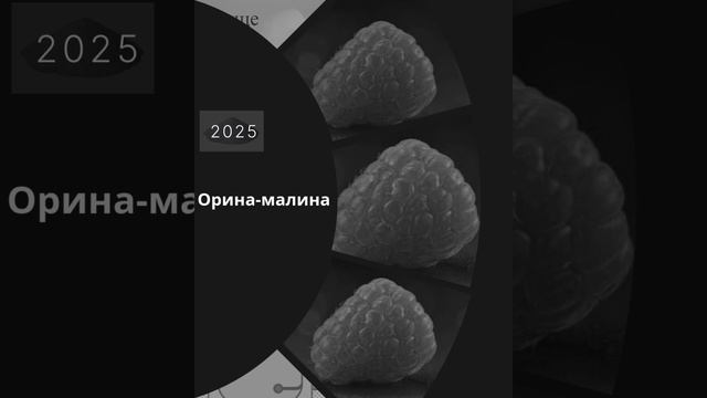 Эйнуллаз - Орина малина