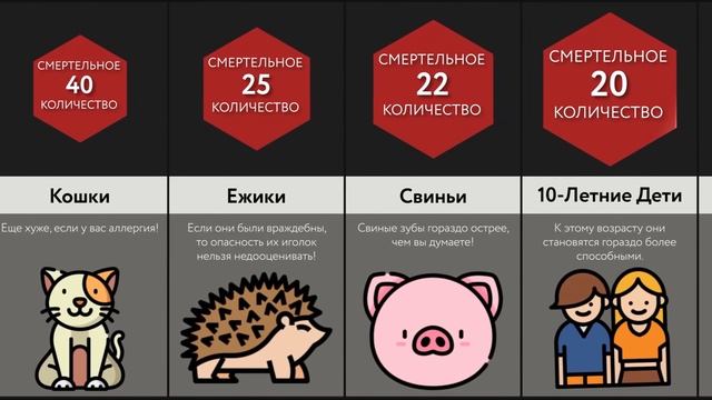 Сколько ____  Убьет Тебя