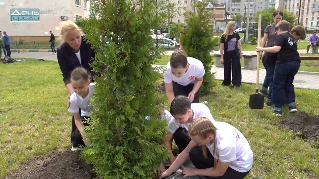 Посадка Аллеи поколений к 90-летию Ленинском районе
