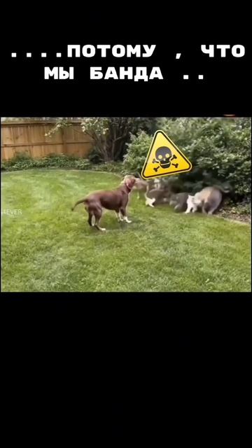 1000084768.mp4