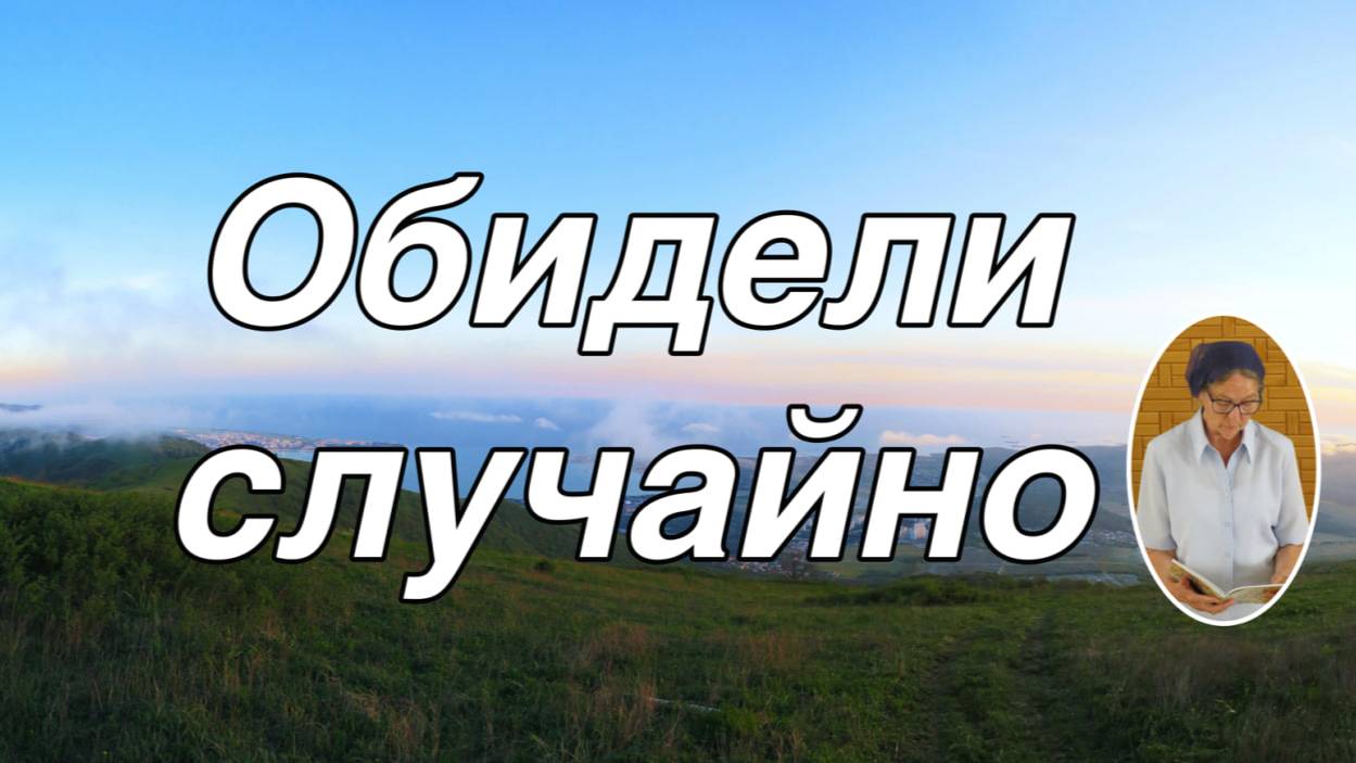 Обидели случайно   стихотворение