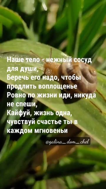 Берегите свою жизнь