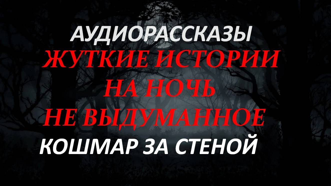 СТРАШНЫЕ РАССКАЗЫ НА НОЧЬ-КОШМАР ЗА СТЕНОЙ