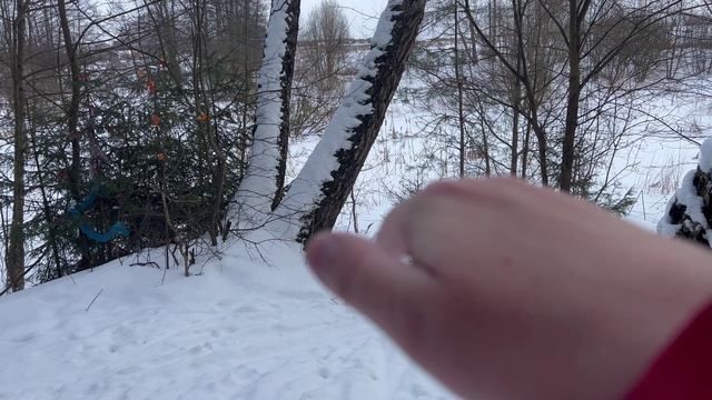 Лыжи 15.02.23г