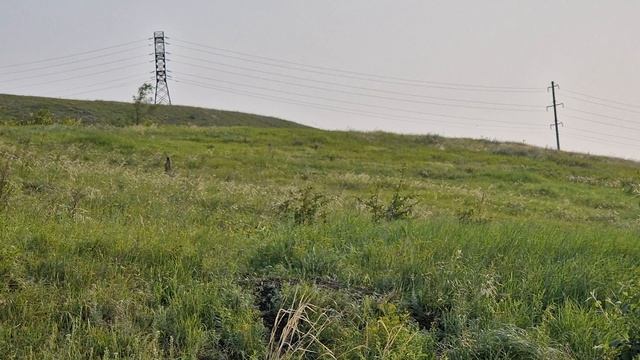 охота на суслика) зевс