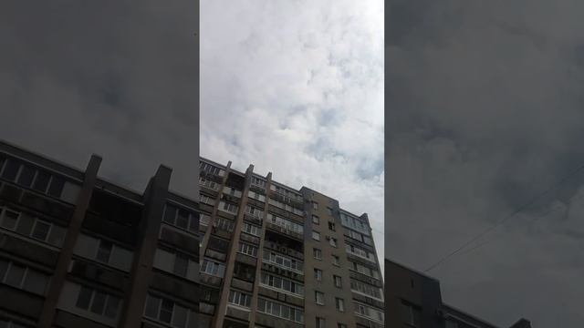 рассказываю клип лепесток