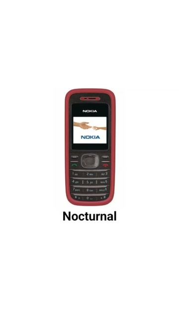 NOKIA 1208 RINGTONE - "Nocturnal"