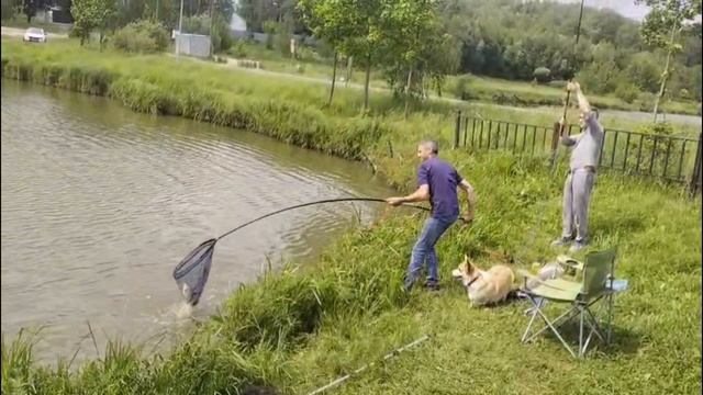 Светлые Горы Карп2 06.06.2025г.