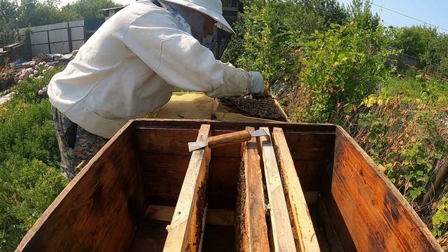 Думал воровки окозался рой прилетел.