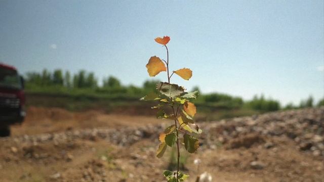 Video by Камаз  Центр Донецк