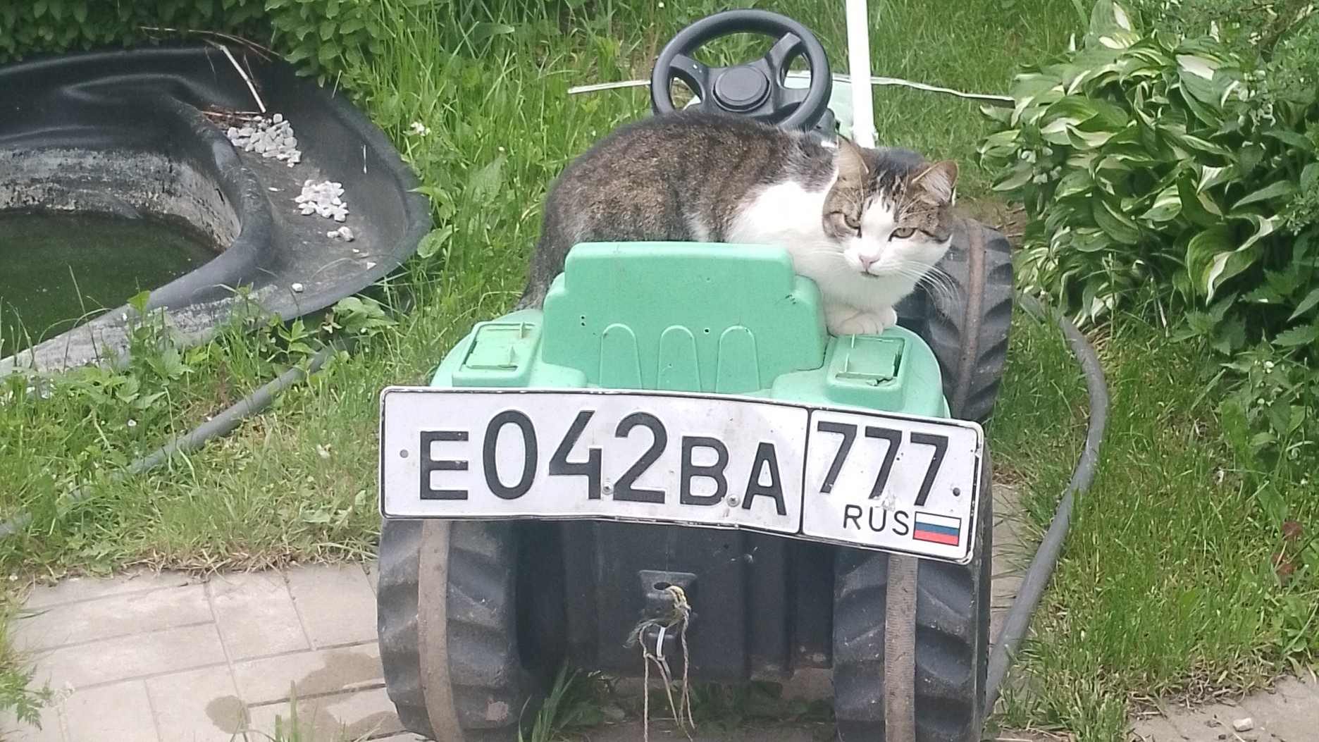 25635364646