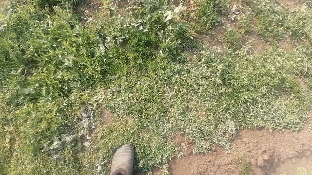 ПРОШОЛ УРАГАН, СМОТРИМ УЩЕРБ.