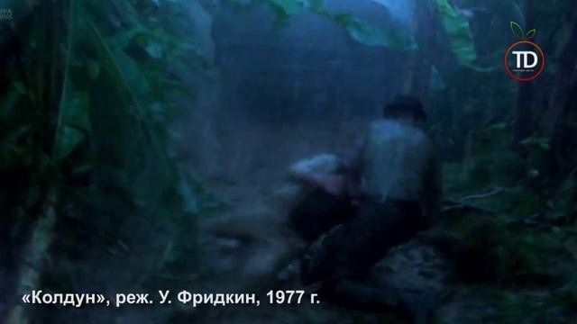 Роман Касторский история Tangerine Dream # 11 (Колдун)
