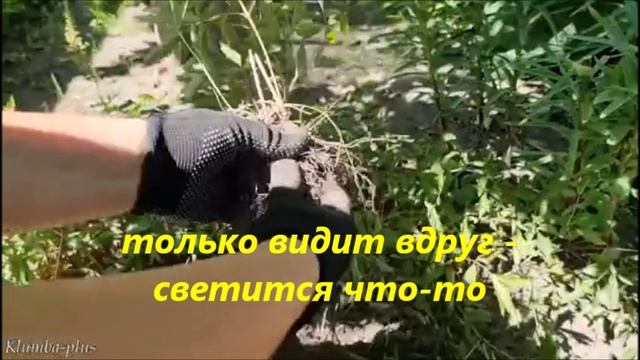 сиянье Астильбы