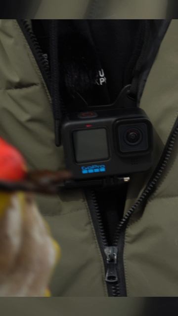 Можно сказать, что это опасная находка