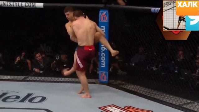 UFC 223 Хабиб стал чемпионом